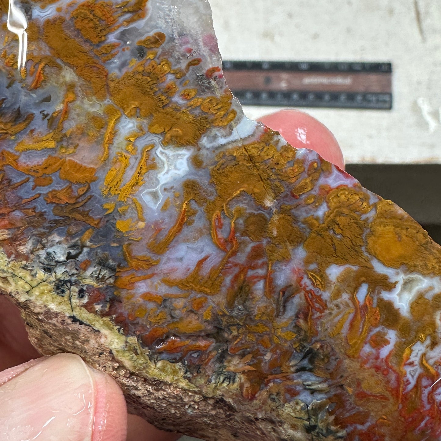 WINGATE PASS PLUME AGATE Windowed Rough - 0.48 Pounds
