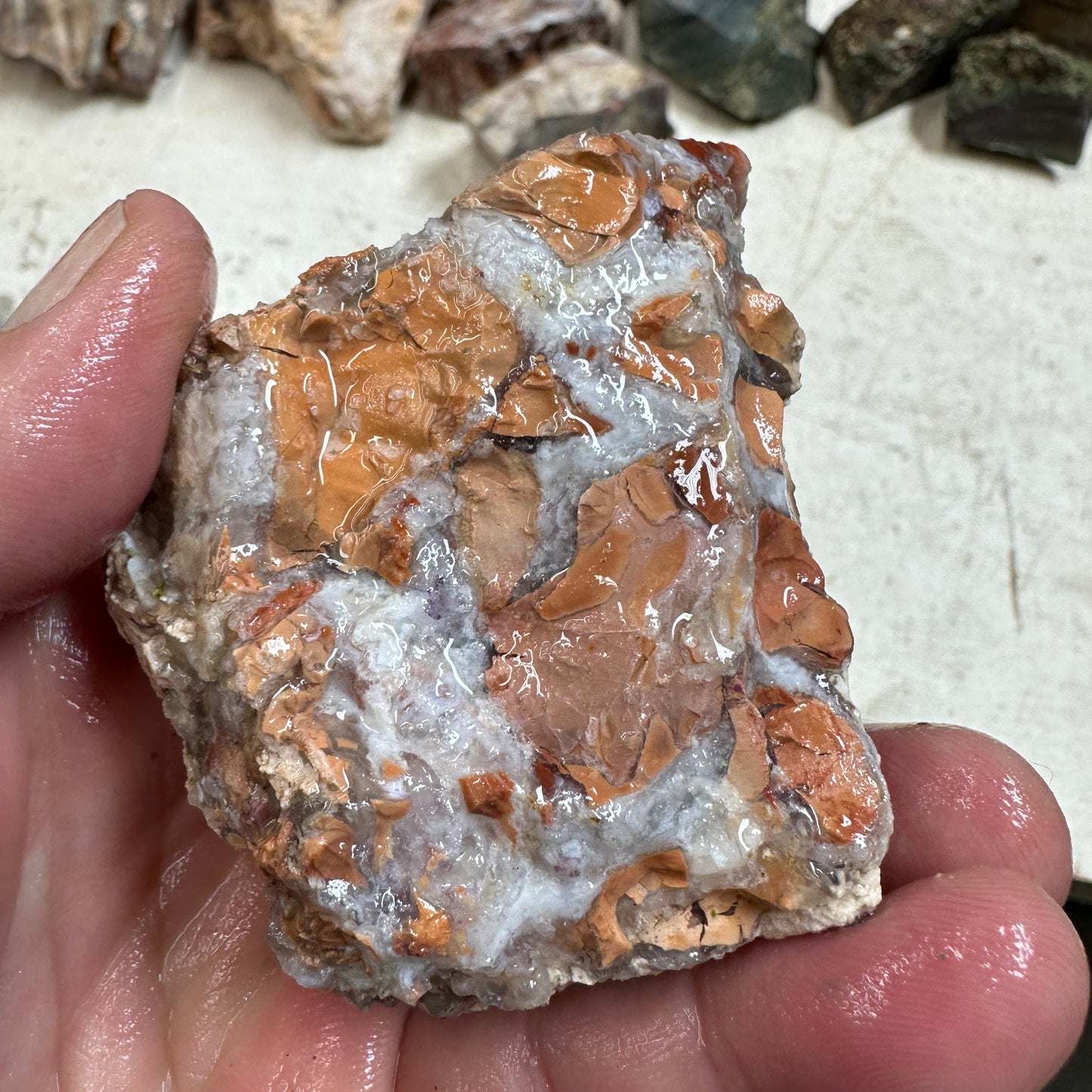 TIFFANY STONE Faced Rough - 0.55 Pounds