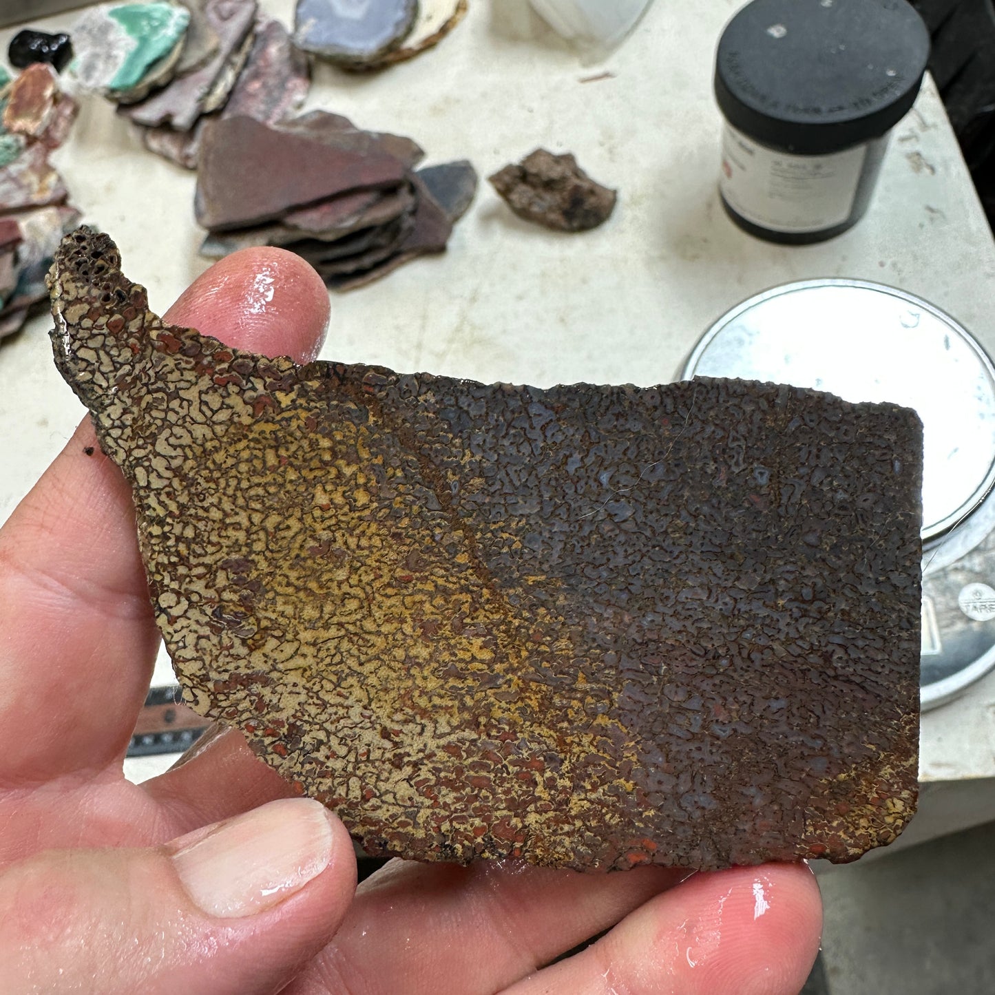 GEMBONE Dinosaur Bone Slab - 85 grams