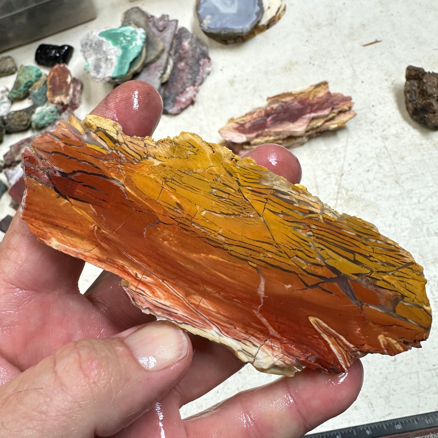 SUNSET HOWARDITE Slab - 70 grams