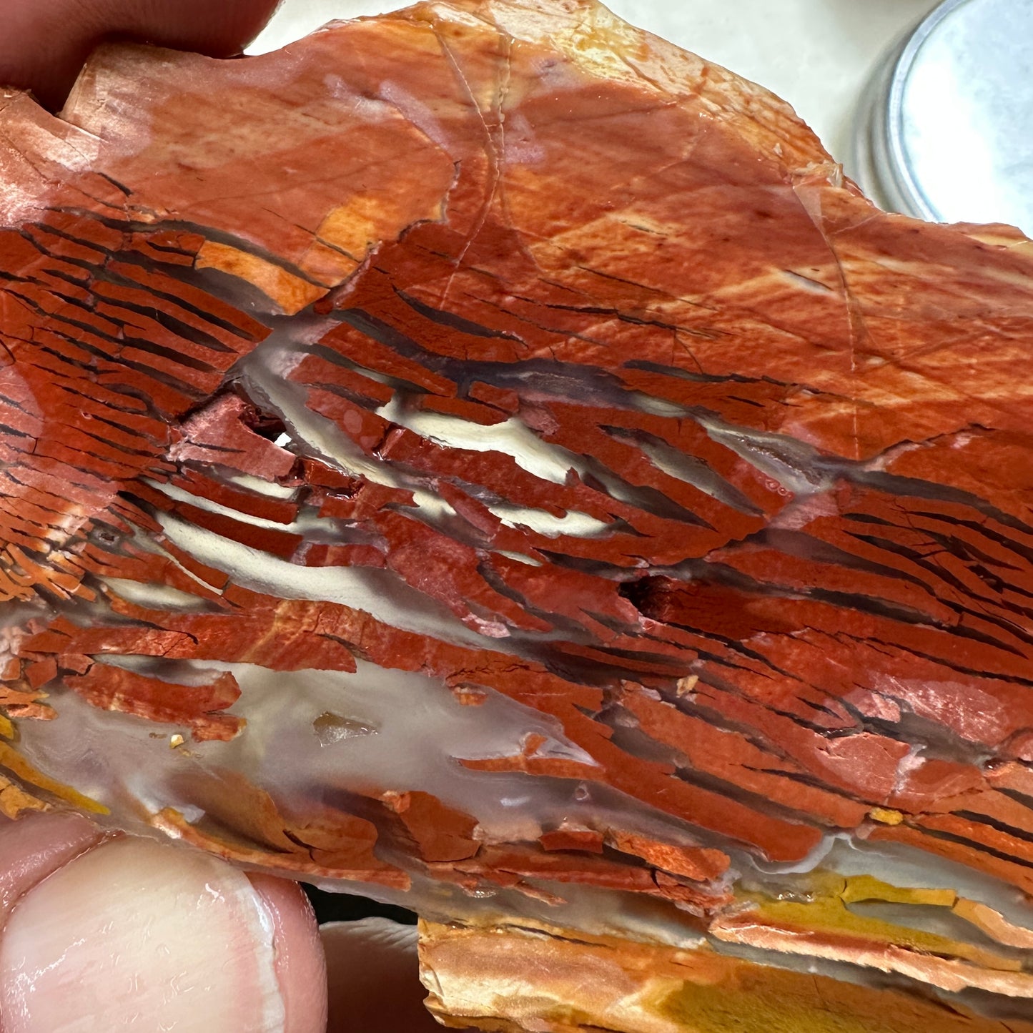 SUNSET HOWARDITE Slab - 61 grams