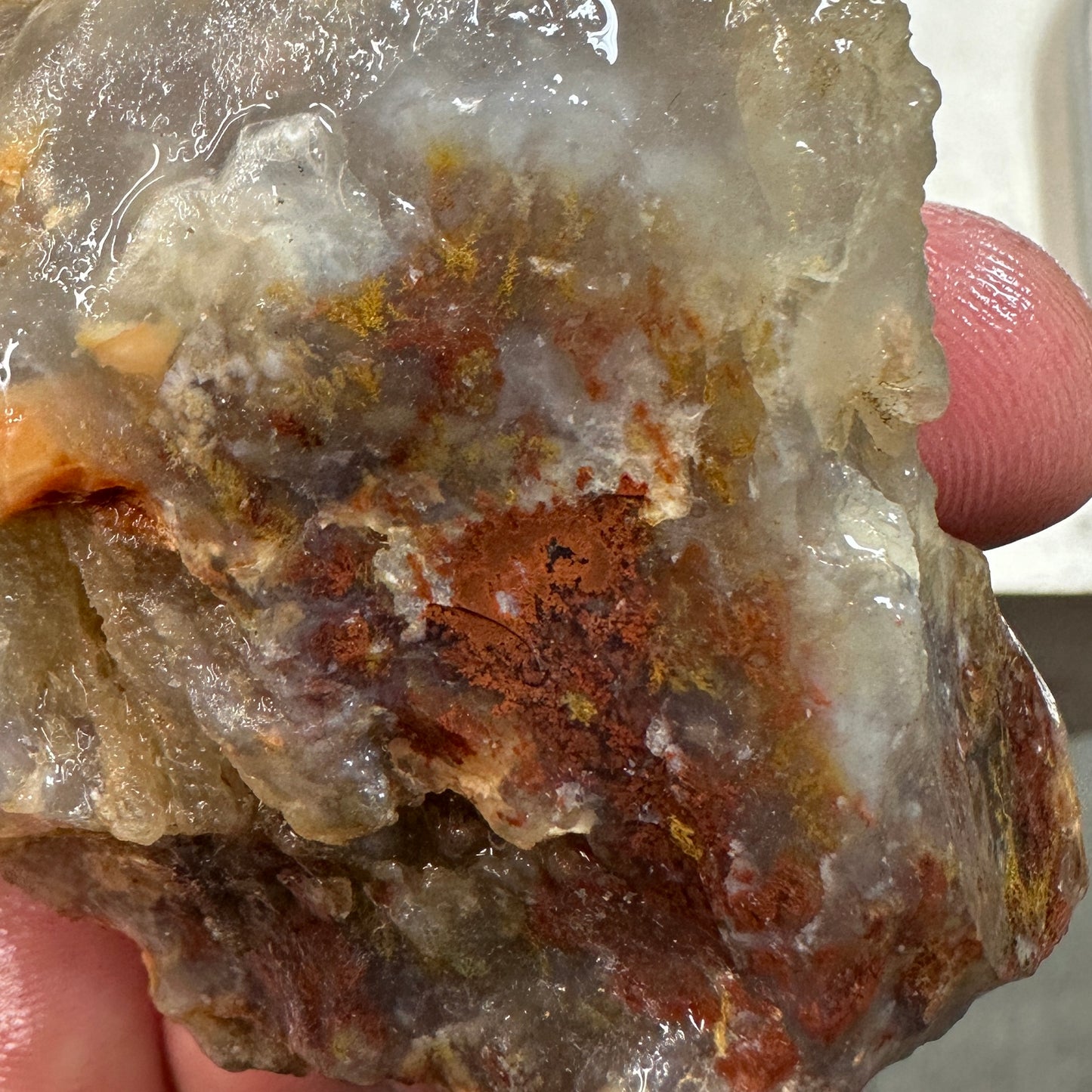 CAREY PLUME AGATE Rough - 0.49 Pounds