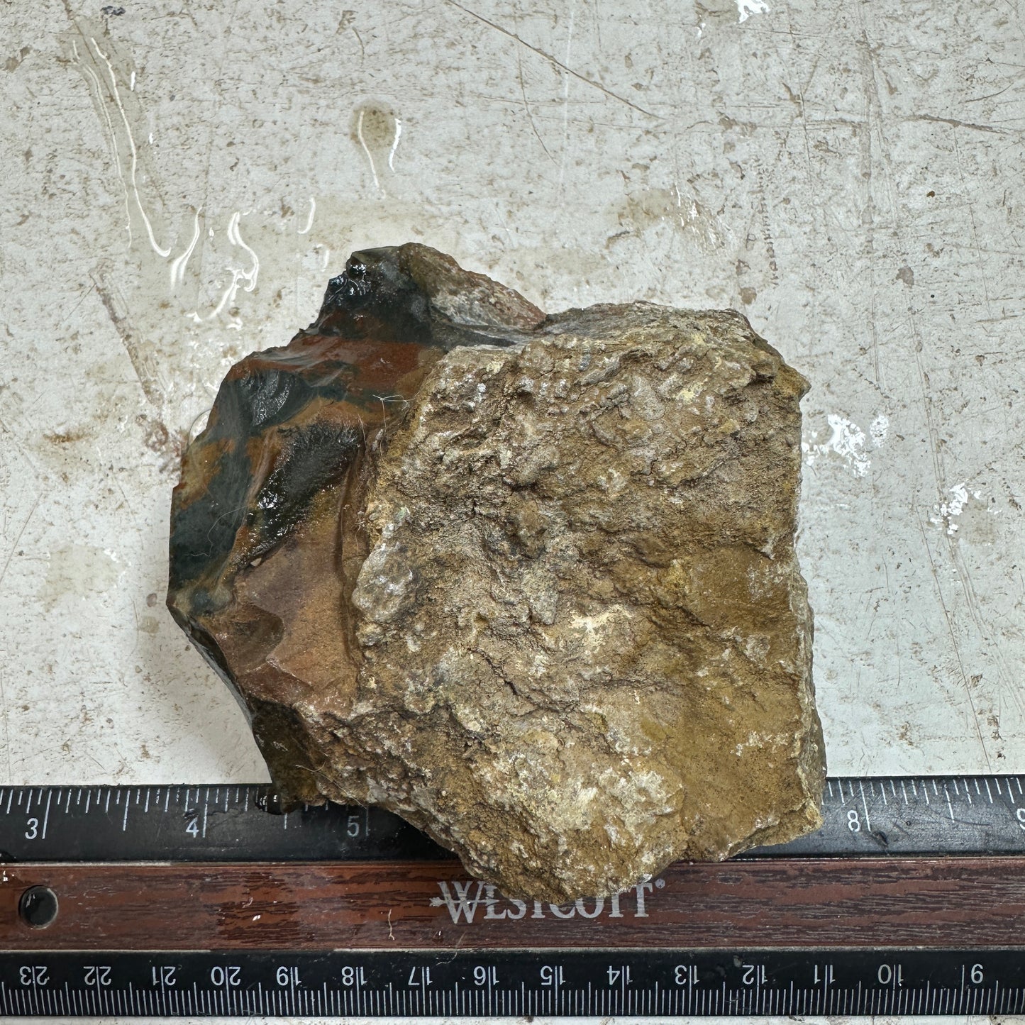 ECHO RIDGE JASPER Rough - 0.90 Pounds