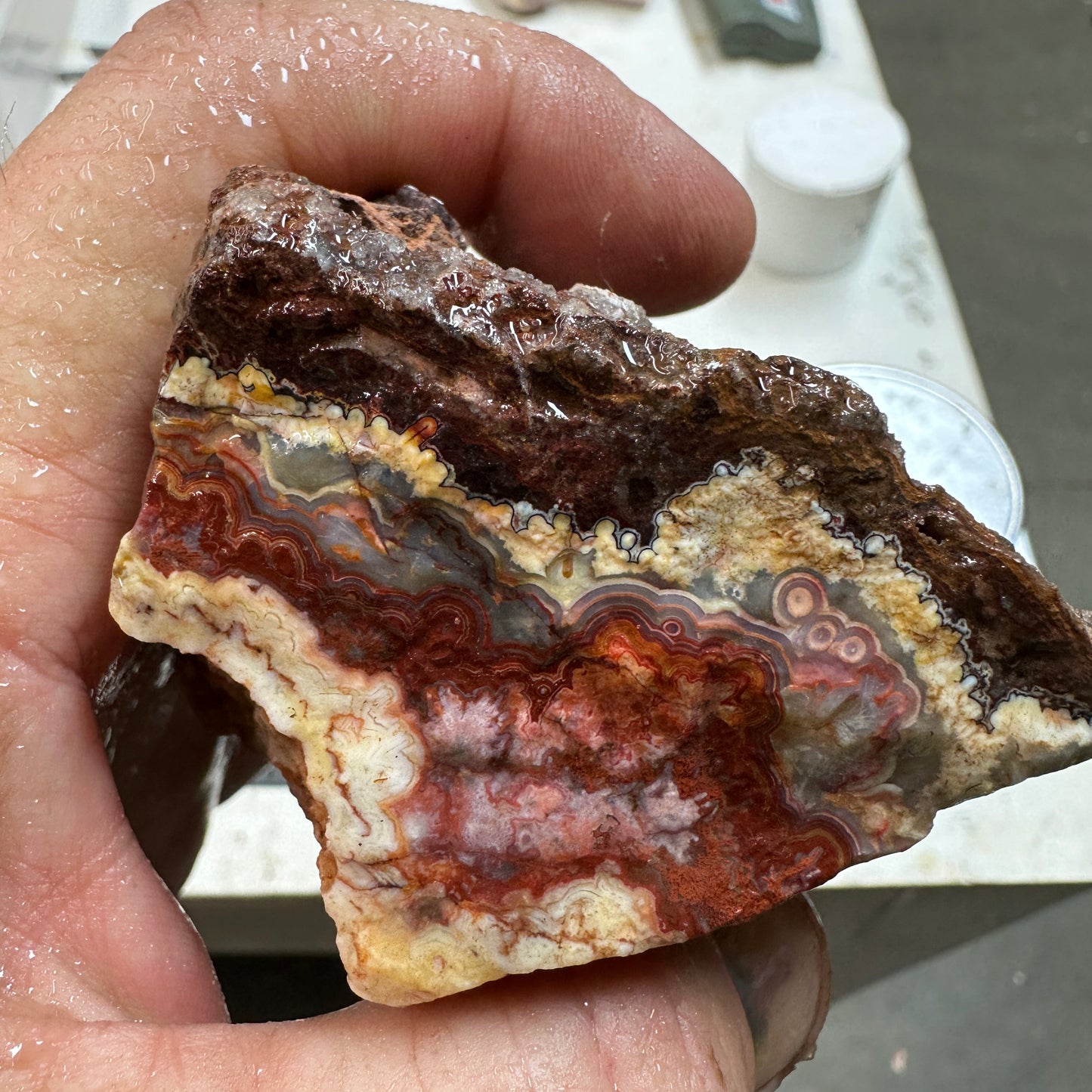 CRAZY LACE AGATE Rough - 1.76 Pounds