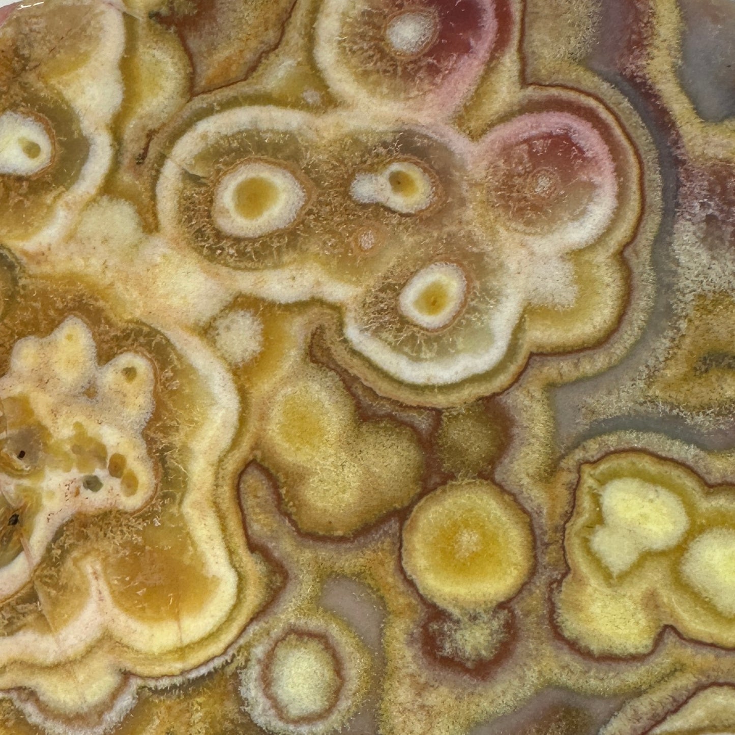CRAZY LACE AGATE Slab - 165 grams