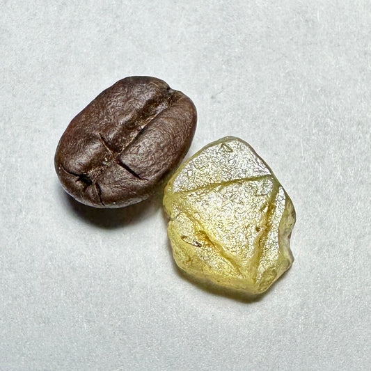 4.72ct MONTANA SAPPHIRE Facet Rough