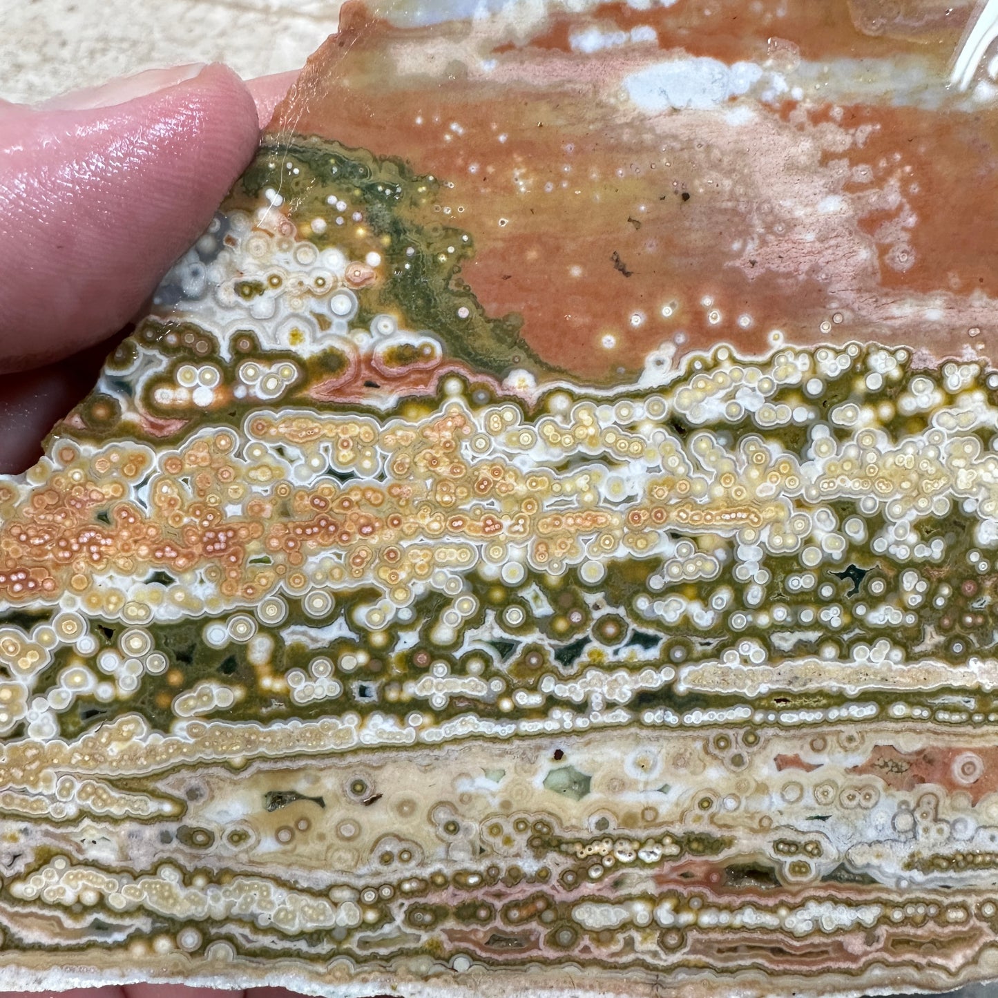 OCEAN JASPER Slab - 234 grams