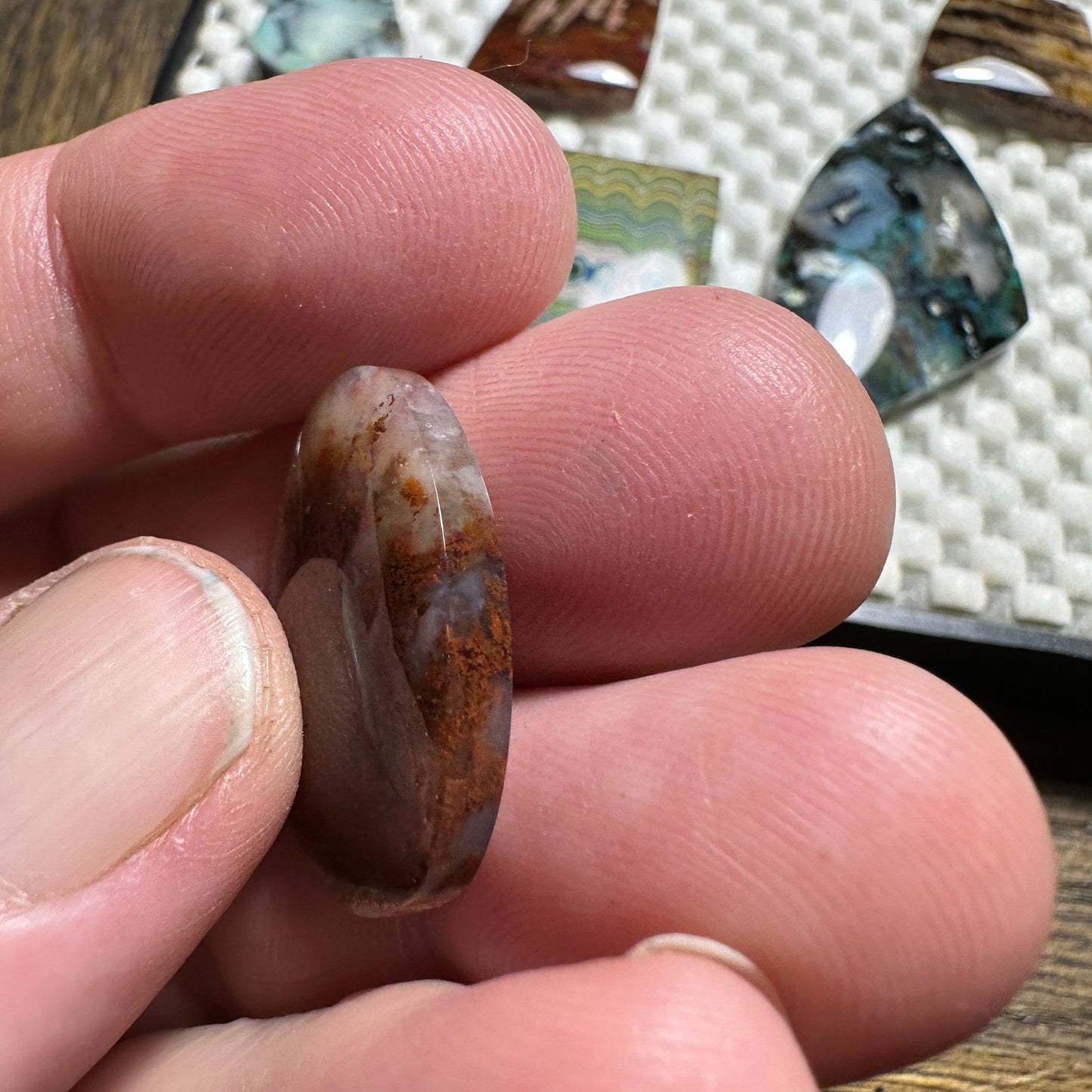 CAREY PLUME AGATE cabochon