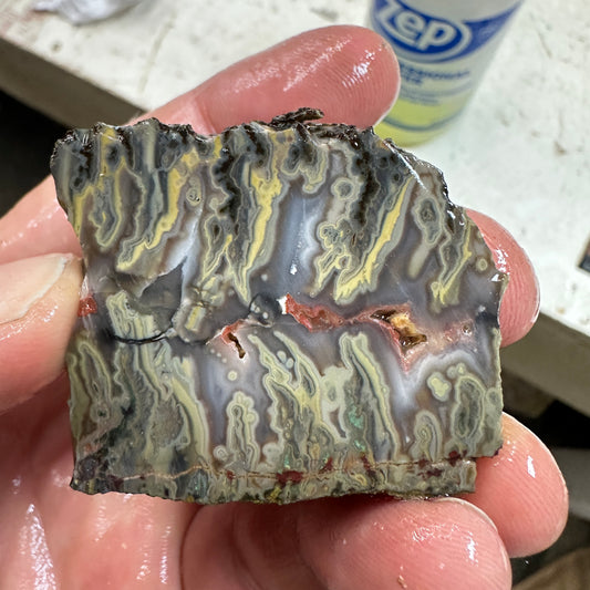 IDAHO WILDFIRE PLUME AGATE Faced Rough - 6.41oz