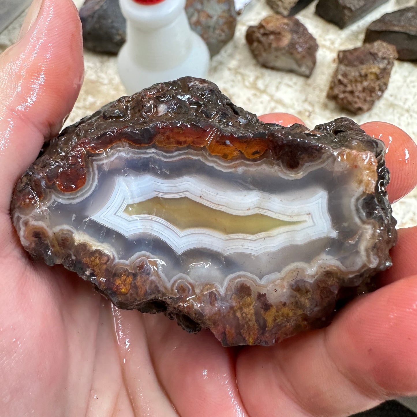 MOROCCAN AGATE Rough - 0.88 Pounds