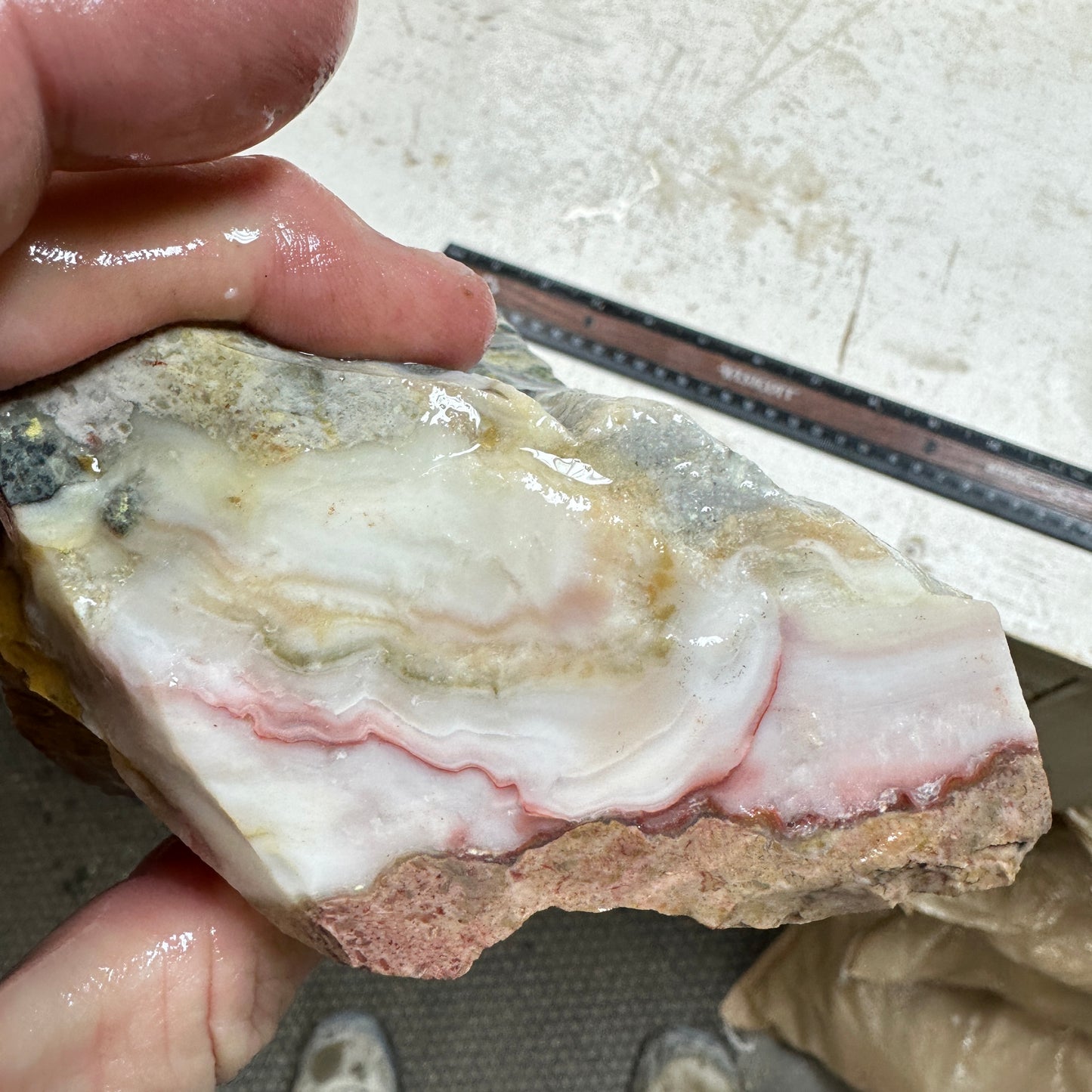 WINDY MOUNTAIN AGATE Rough - 1.51 Pounds