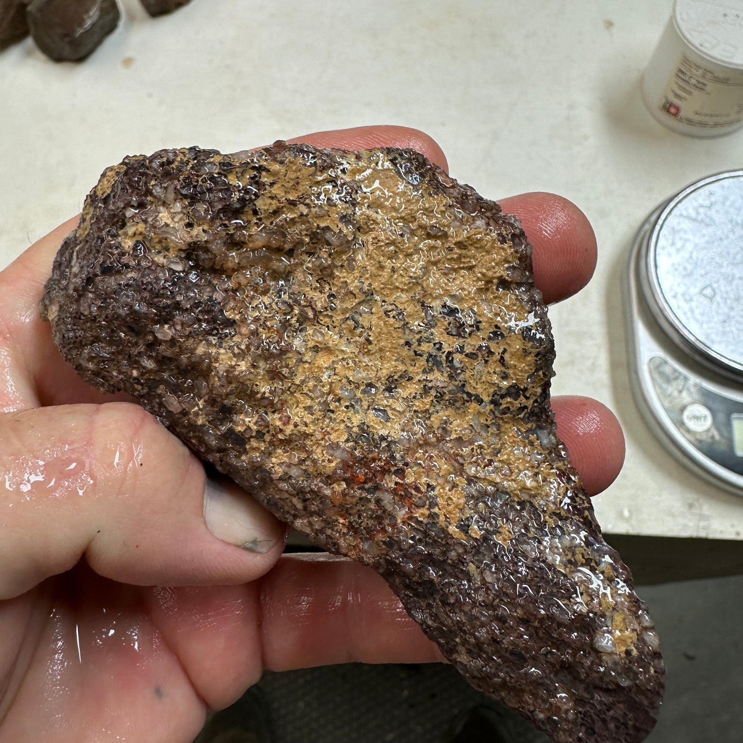 GEMBONE Dinosaur Bone Faced Rough - 10.2 ounces