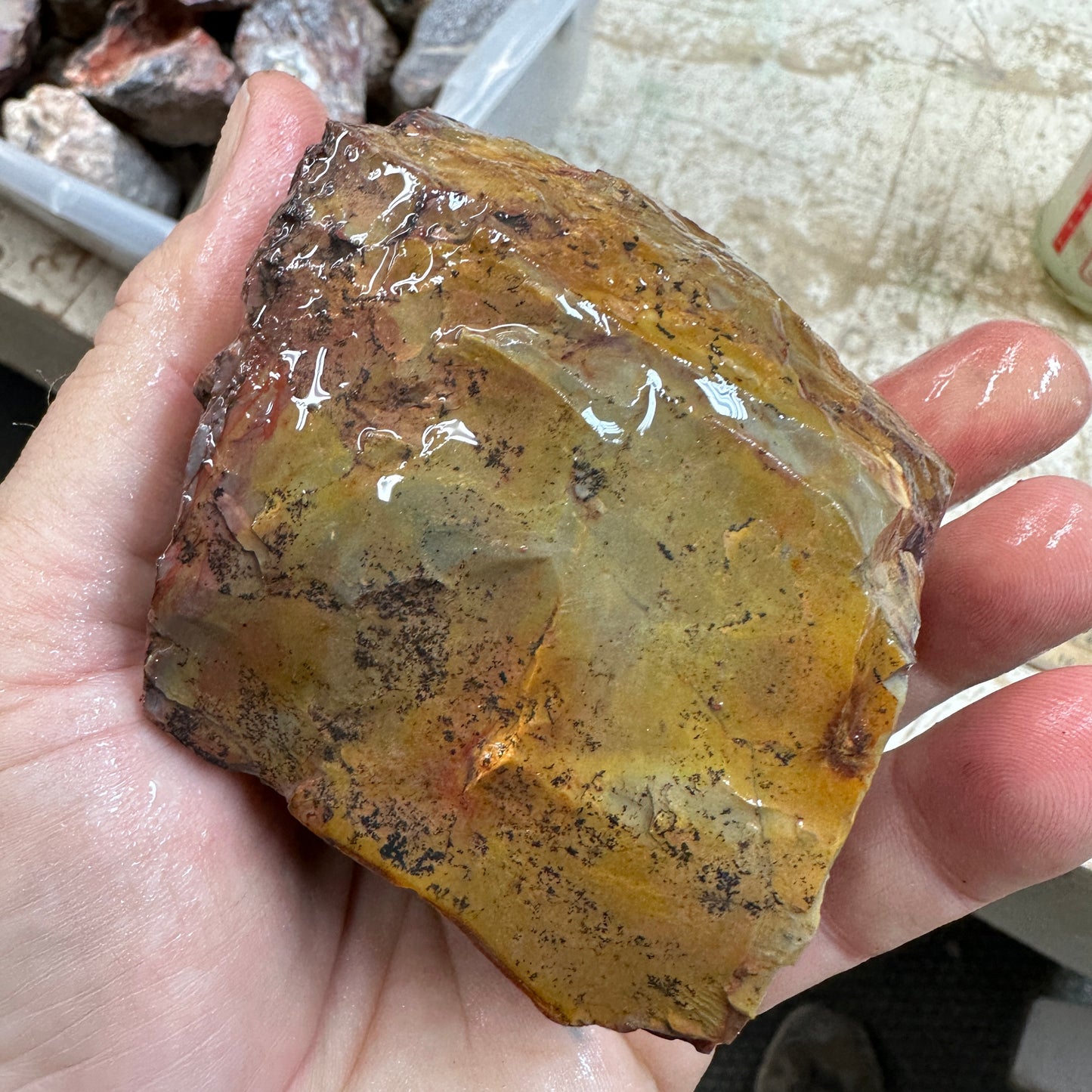 MESCALERO JASPER Faced Rough - 1.58 Pounds