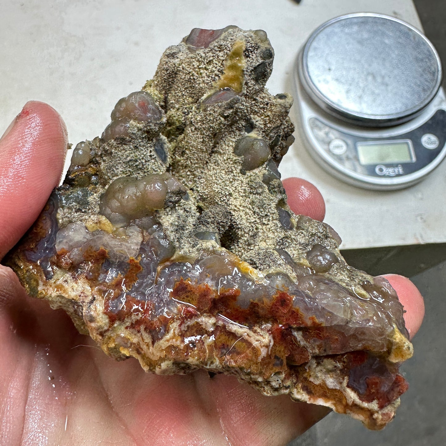 CATHEDRAL AGATE Rough - 0.76 Pounds