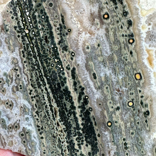 OCEAN JASPER Slab - 299 grams