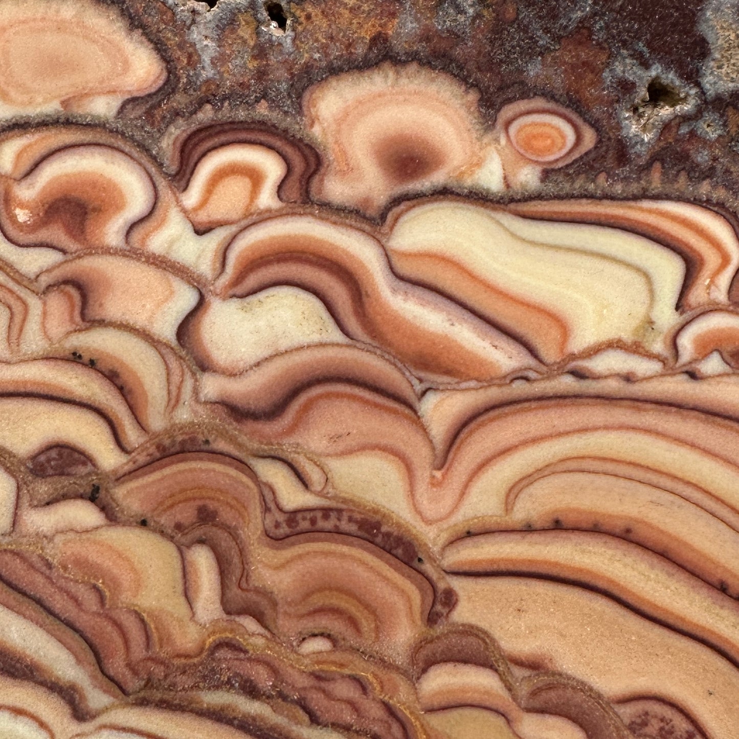 ROLLING HILLS DOLOMITE Slab - 200 grams