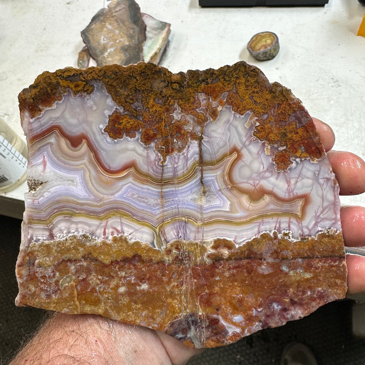 AGUA NUEVA AGATE Slab - 283 grams