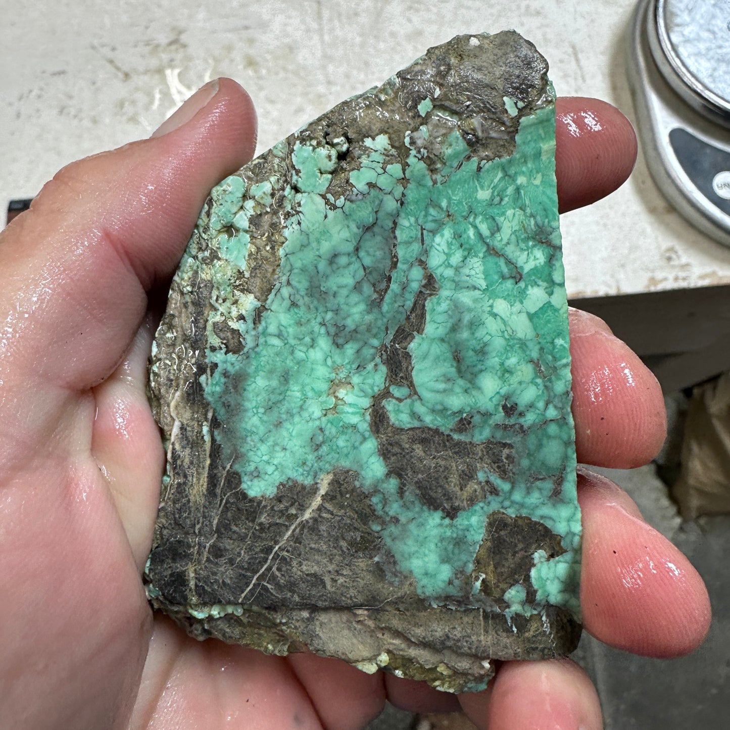 BROKEN ARROW VARISCITE Trimmed Rough Slab - 169 grams