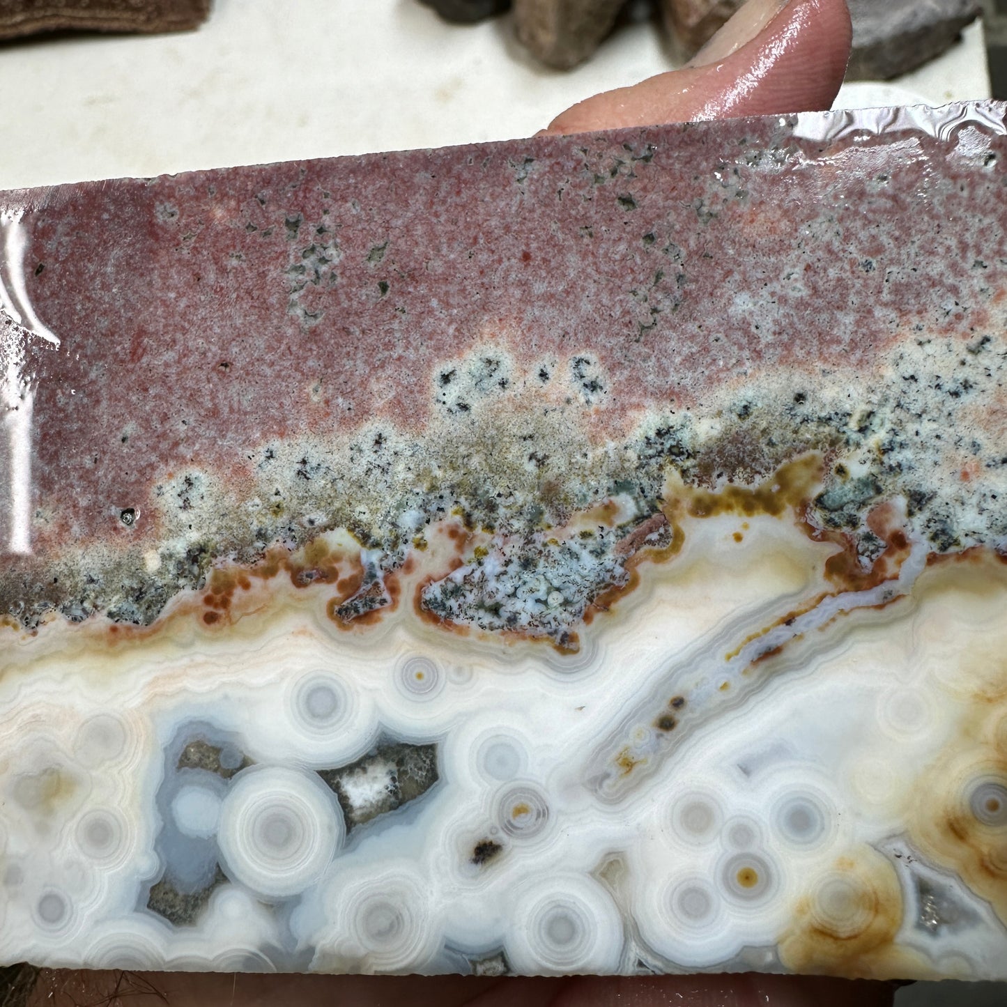 OCEAN JASPER Slab - 195 grams