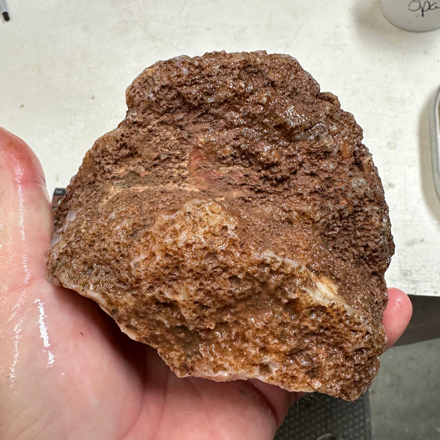 MOROCCAN AHOULI AGATE Rough - 2.24 Pounds