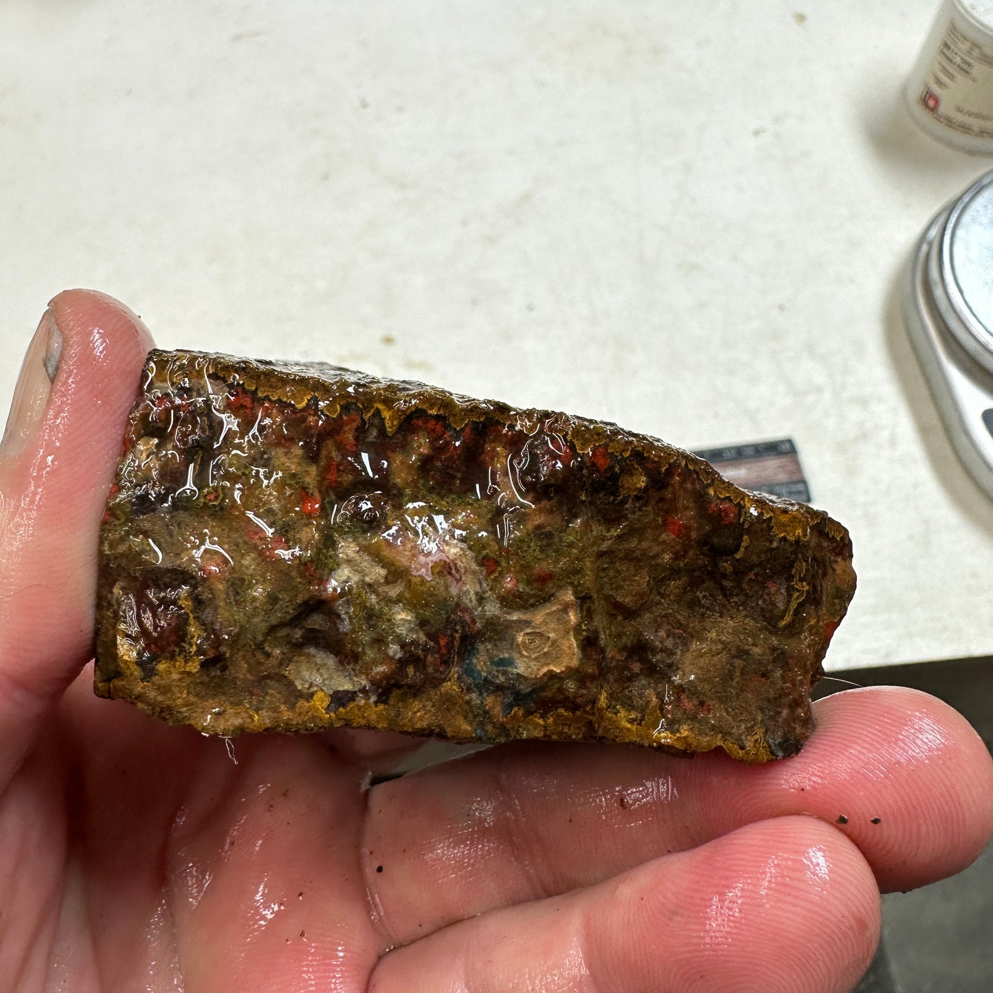 MOROCCAN SEAM AGATE Rough - 9.0ozs