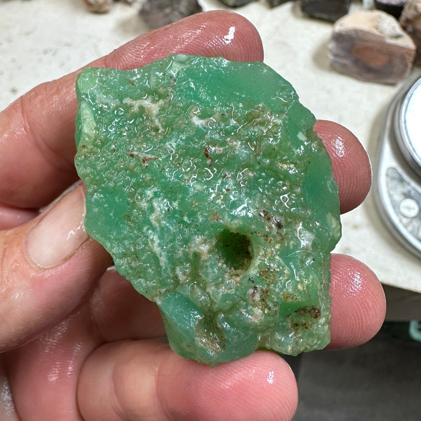 Tanzanian CHRYSOPRASE Rough 54.9 grams