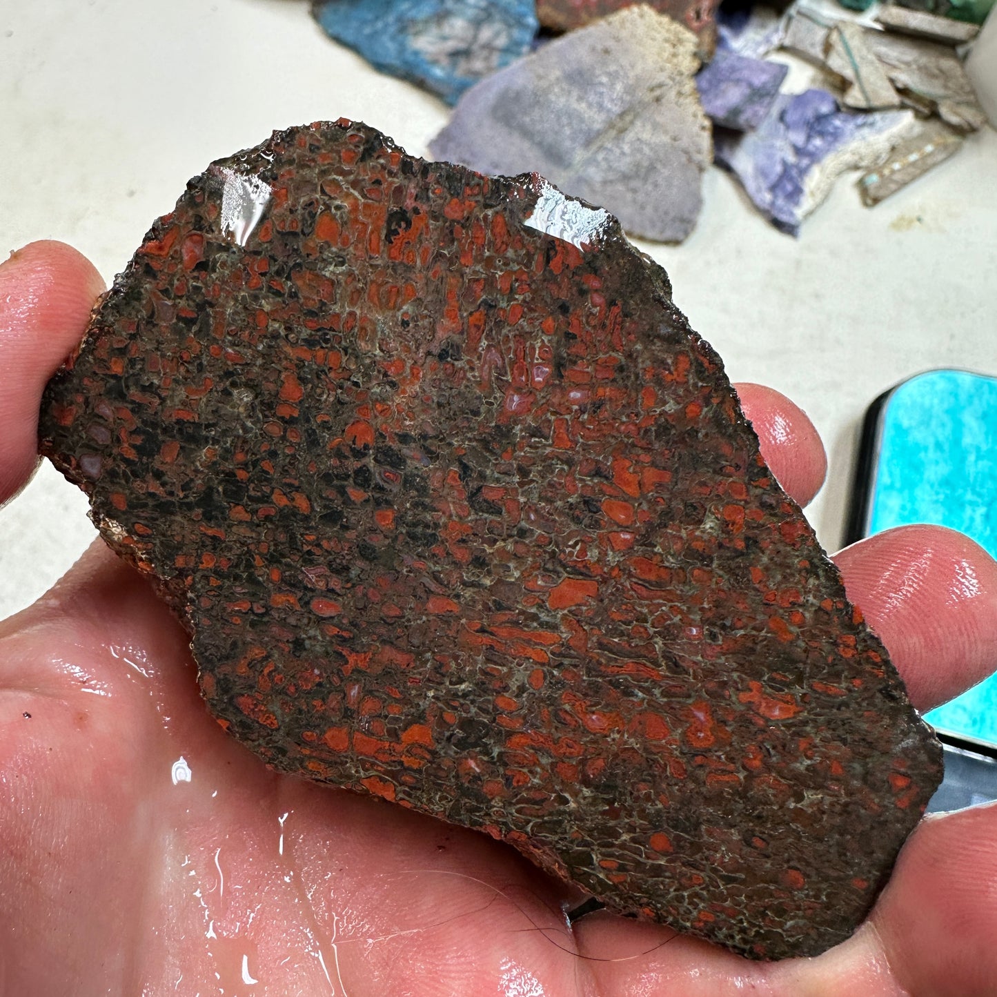 GEMBONE Dinosaur Bone Faced Rough - 0.83 Pounds