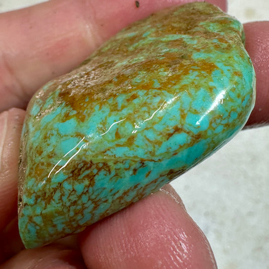 RISING PHOENIX Turquoise rough - 37.3 grams