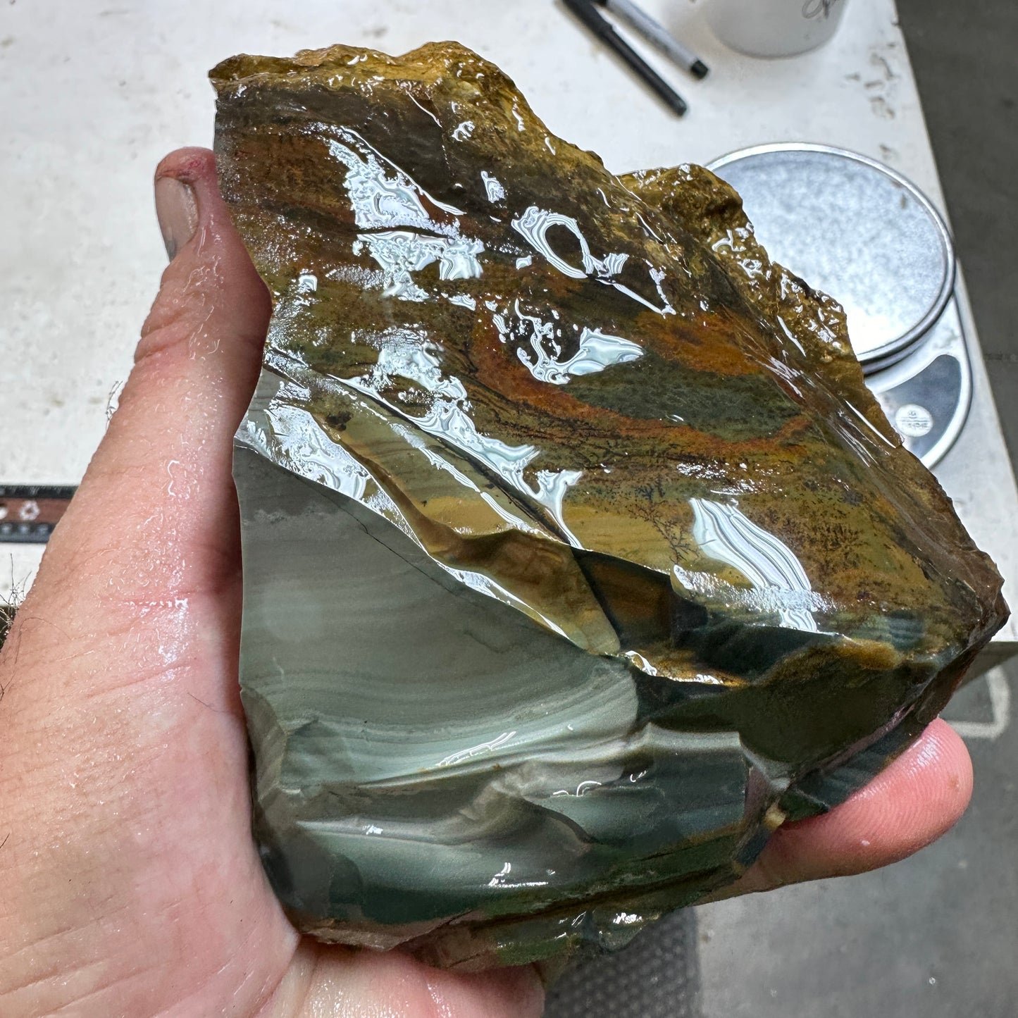 BLUE MOUNTAIN JASPER Rough - 2.14 Pounds