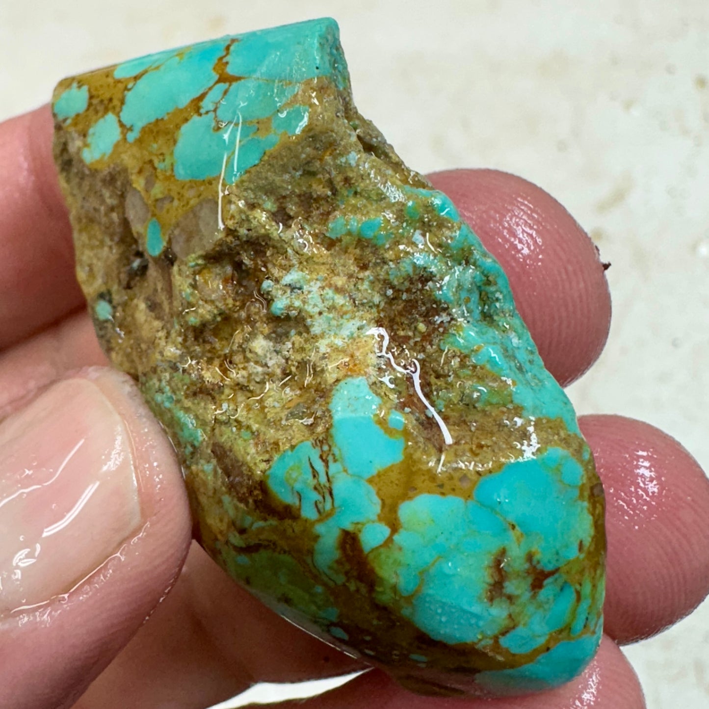 RISING PHOENIX Turquoise rough - 41.8 grams