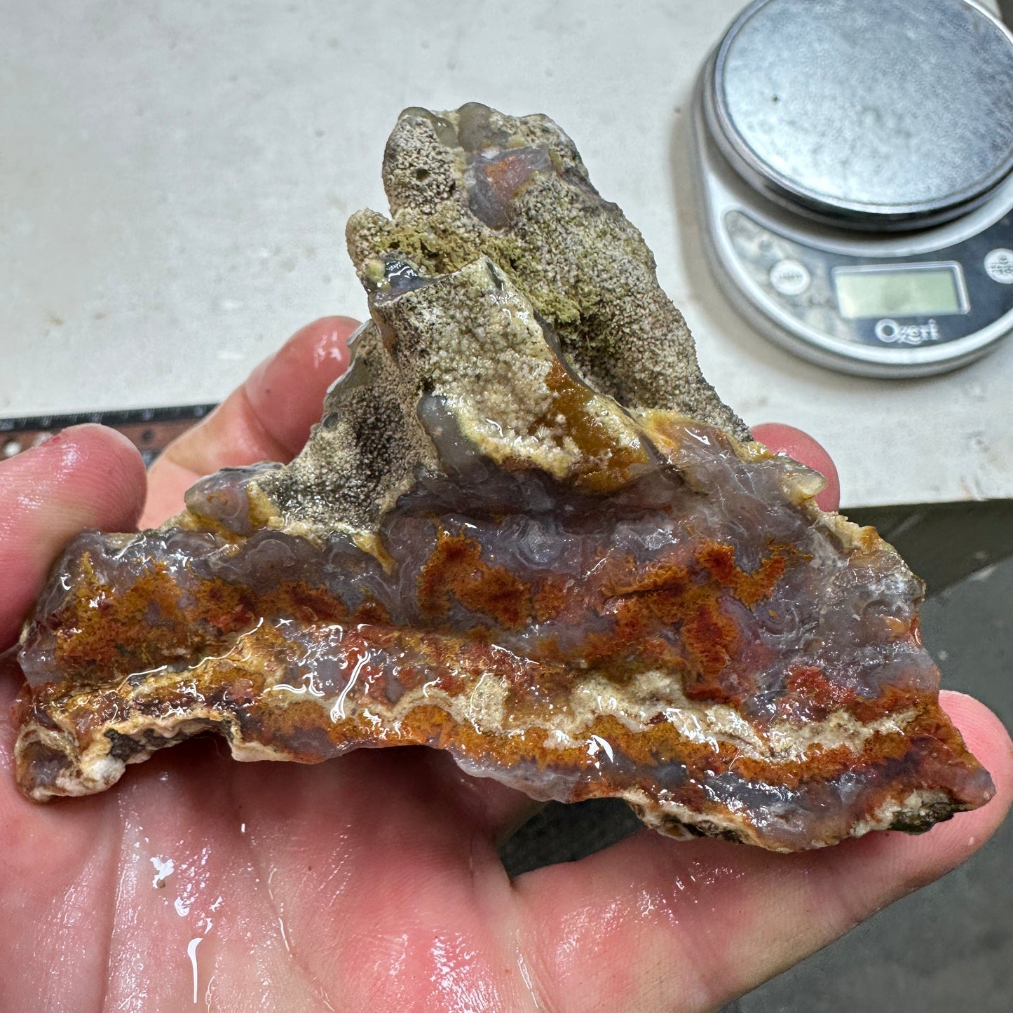 CATHEDRAL AGATE Rough - 0.76 Pounds