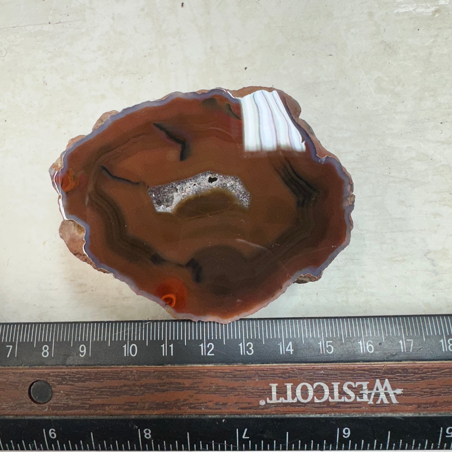 CONDOR AGATE Polished Specimen