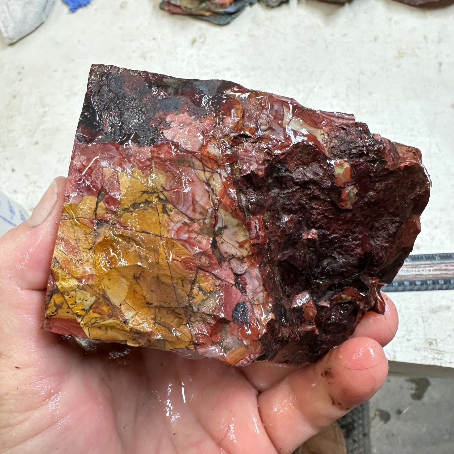 MESCALERO JASPER Faced Rough - 2.61 Pounds