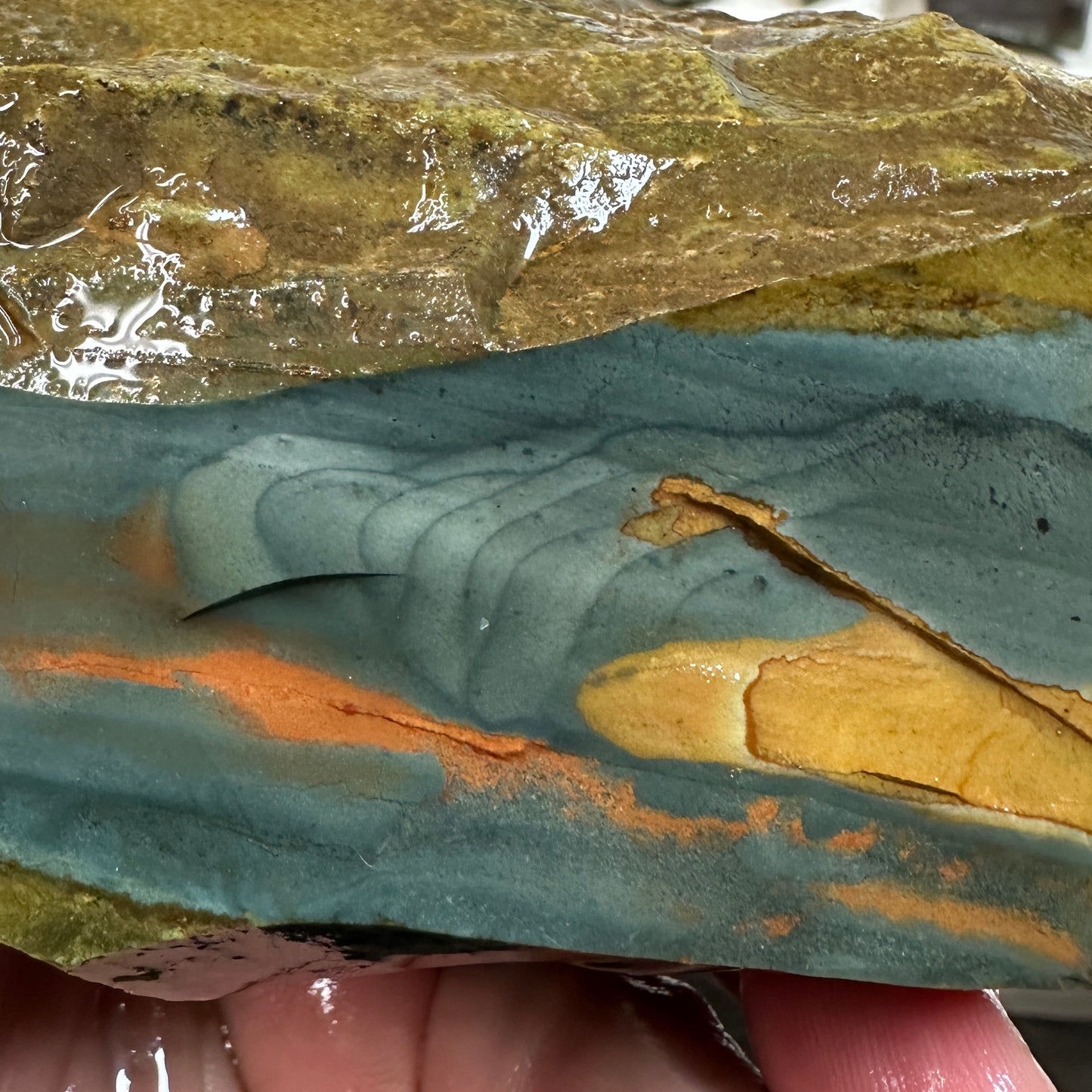 Orbed ECHO RIDGE JASPER Rough - 1.17 Pounds