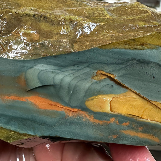 Orbed ECHO RIDGE JASPER Rough - 1.17 Pounds