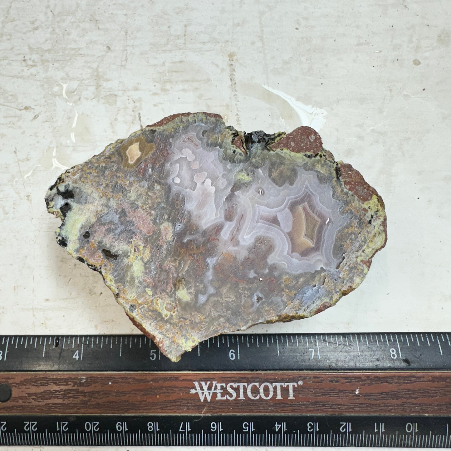 AGUA NUEVA AGATE Rough - 0.51 Pounds