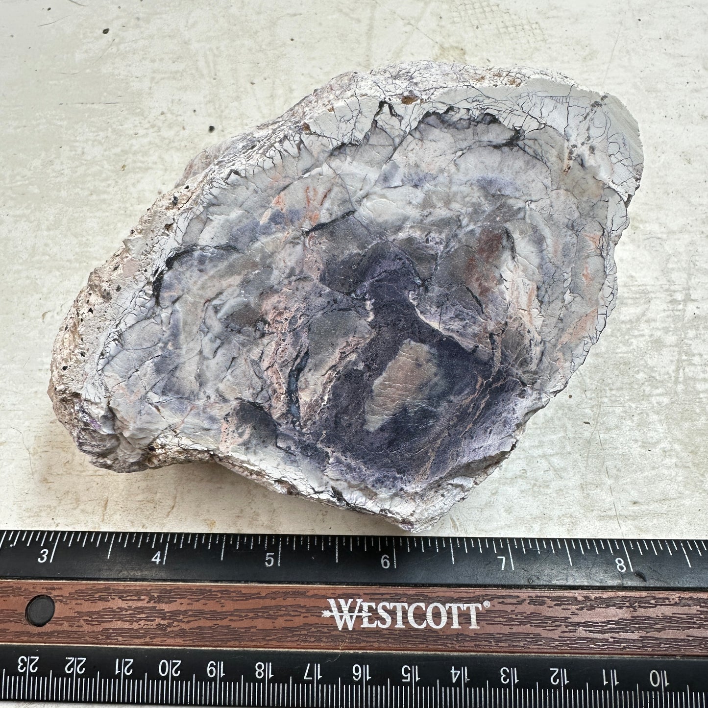 TIFFANY STONE Faced Rough - 1.57 Pounds