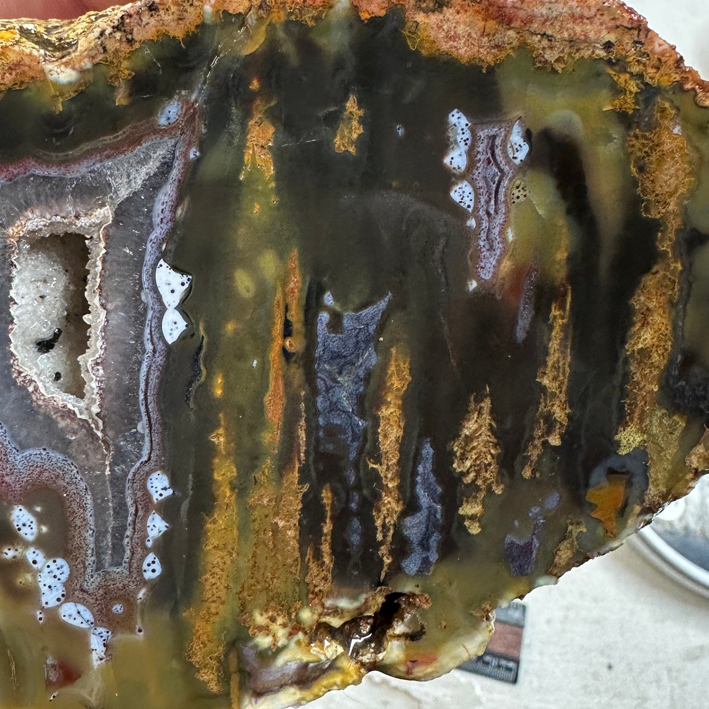 EAST TIMOR AGATE Faced Rough - 1.71 Pounds