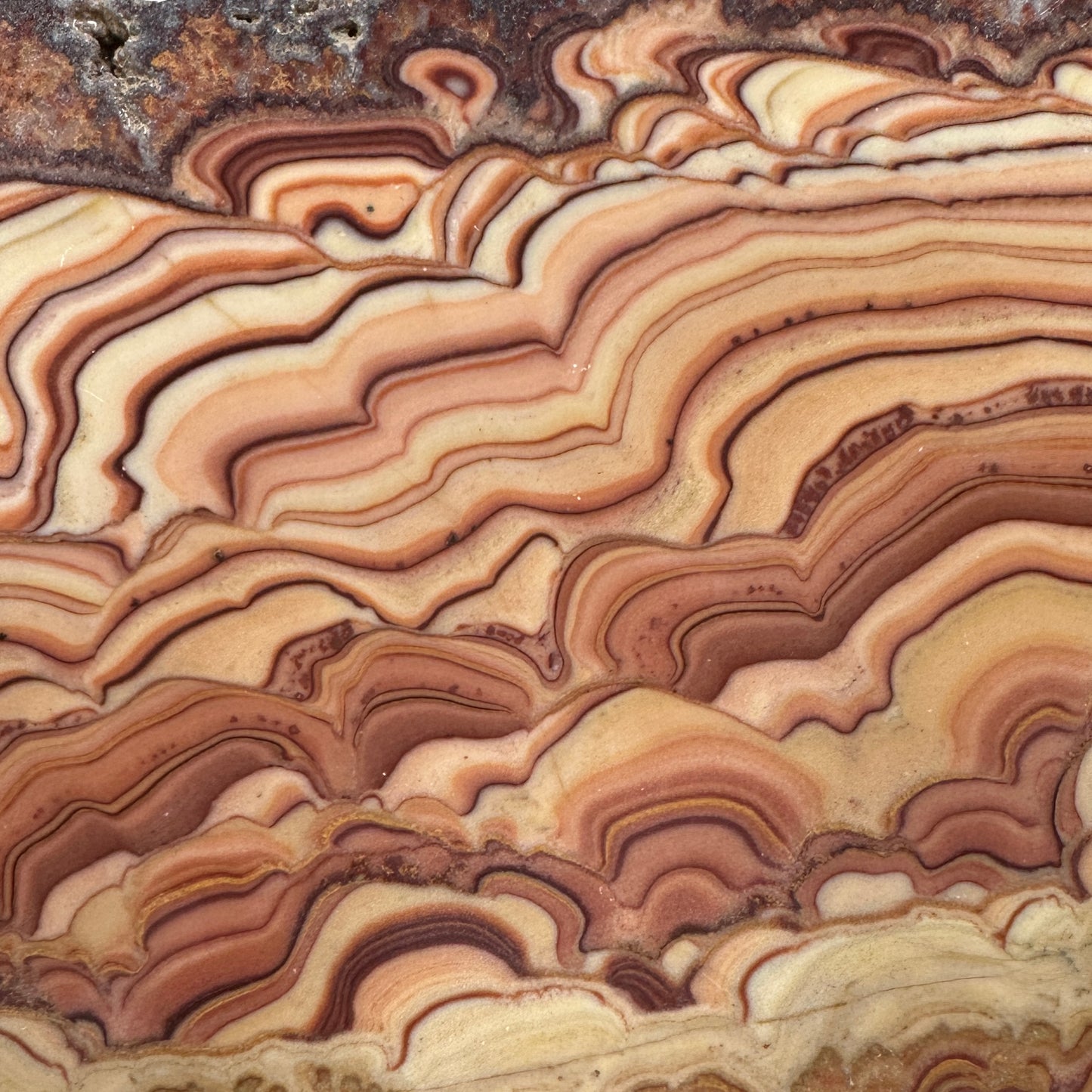 ROLLING HILLS DOLOMITE Slab - 257 grams