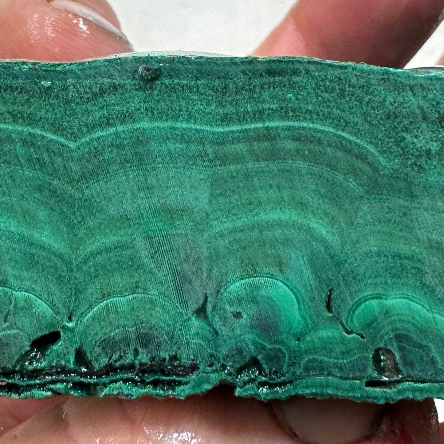 MALACHITE Faced Rough - 1.51 Pounds