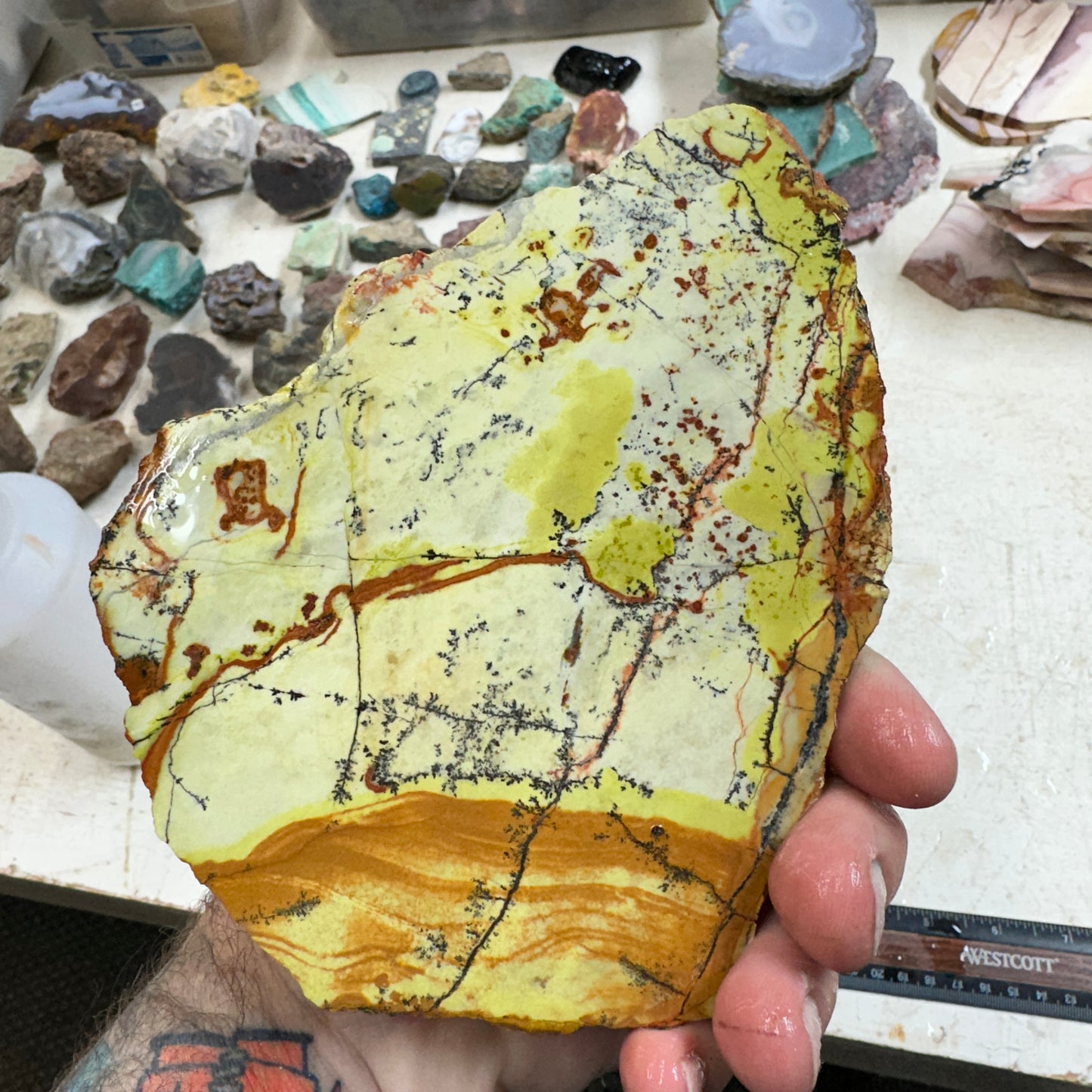 GREEN DREAM Slab - 263 grams