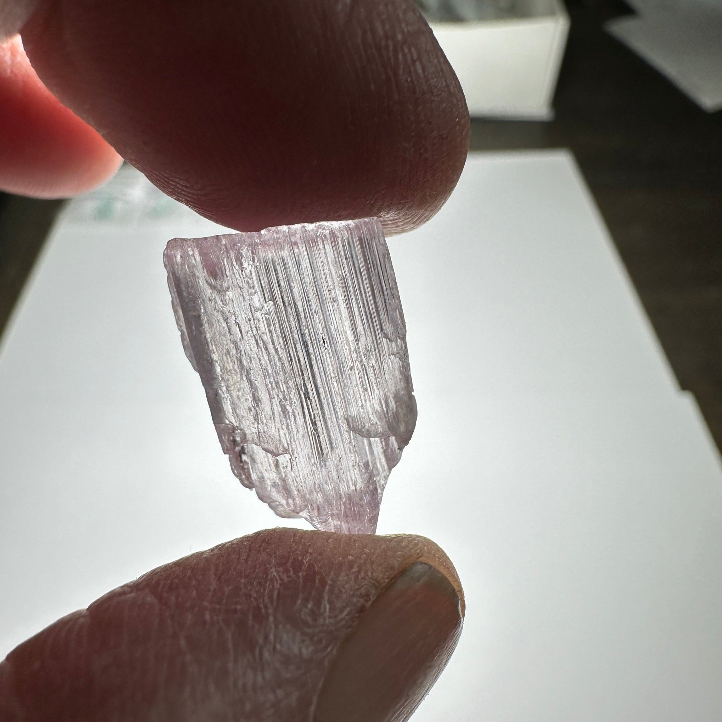 30.3ct KUNZITE Facet Rough