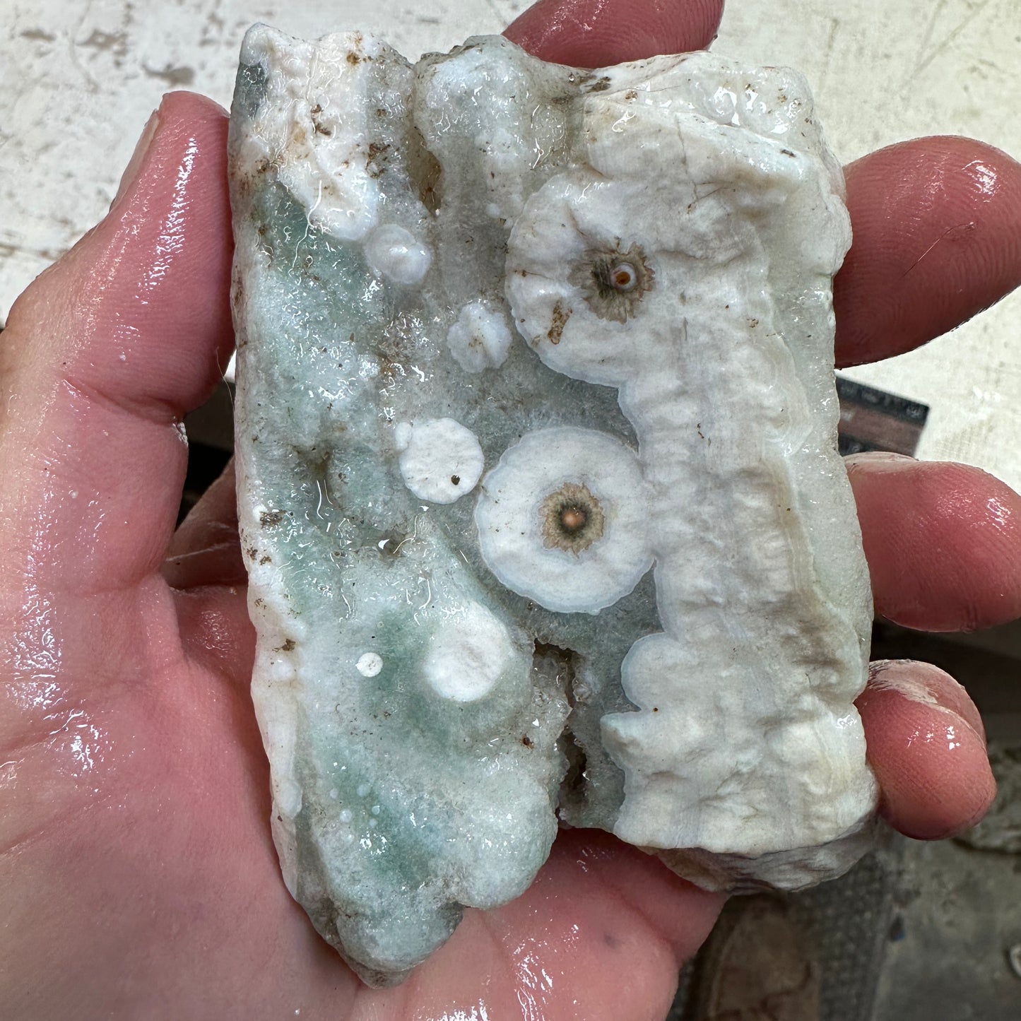OCEAN JASPER Rough - 0.91 Pounds