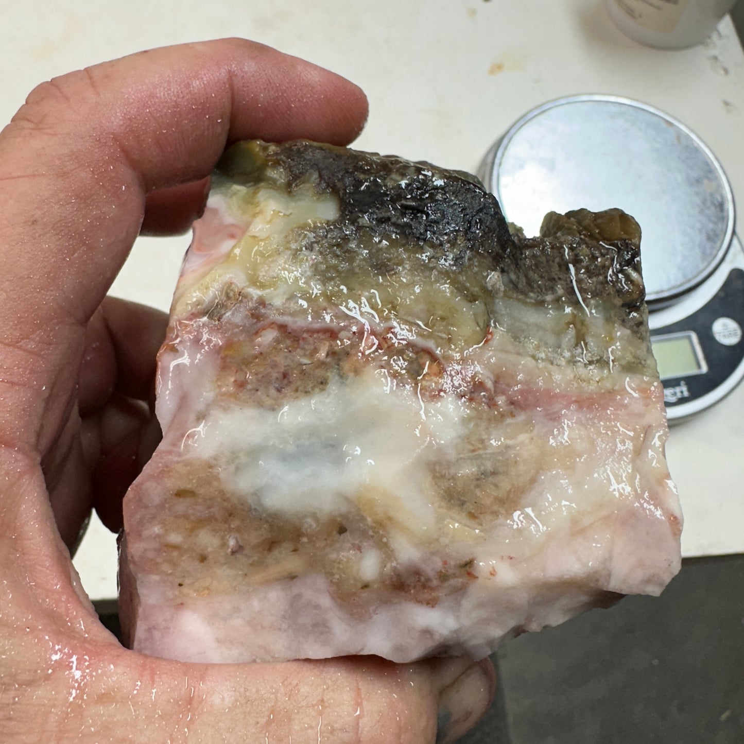 WINDY MOUNTAIN AGATE Faced Rough - 1.48 Pounds