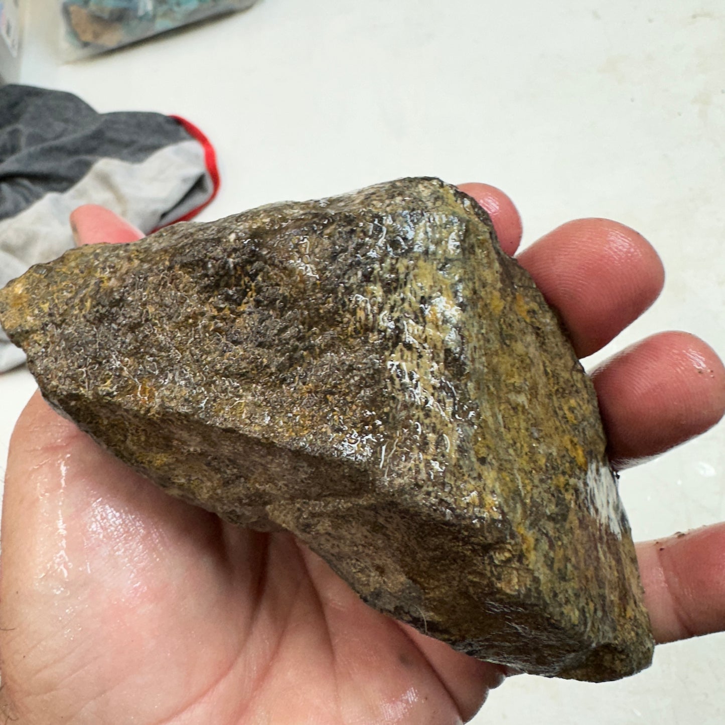 GEMBONE Dinosaur Bone Faced Rough - 1.10 Pounds