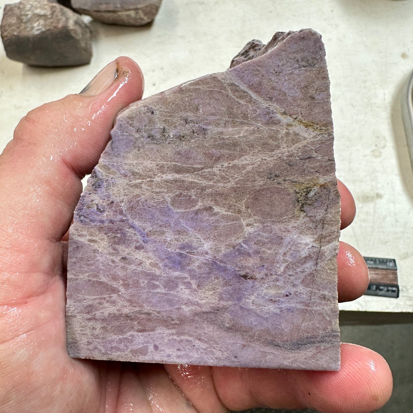 TURKISH PURPLE JADEITE Faced Rough - 1.32 Pounds