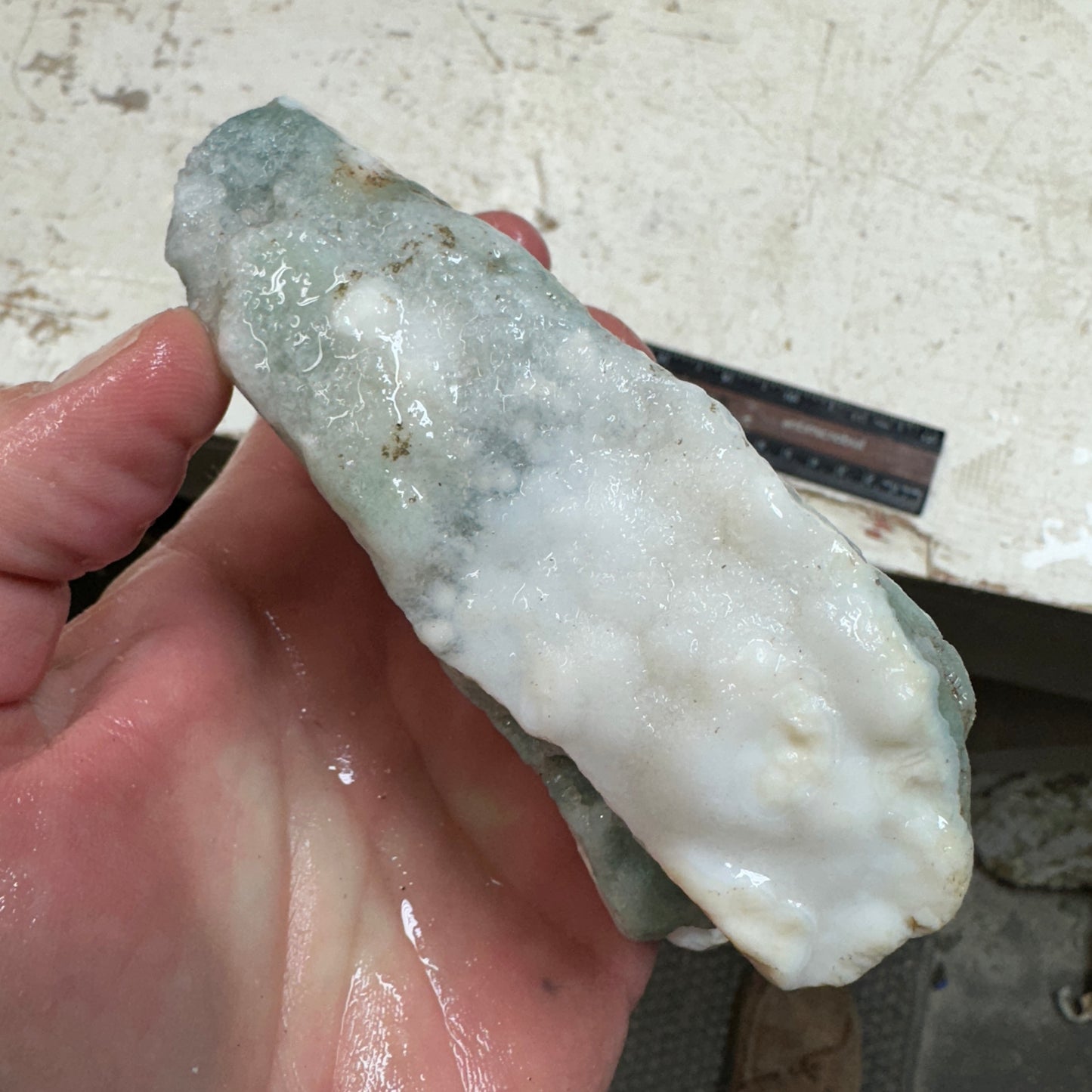 OCEAN JASPER Rough - 0.91 Pounds