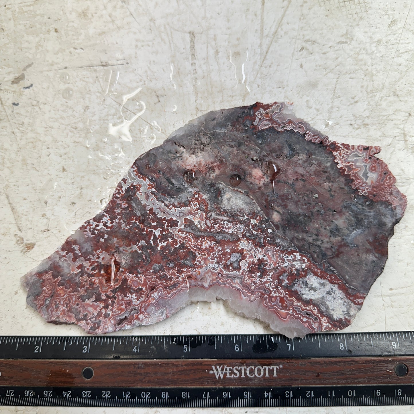 ROSETTA LACE AGATE Slab - 288 grams