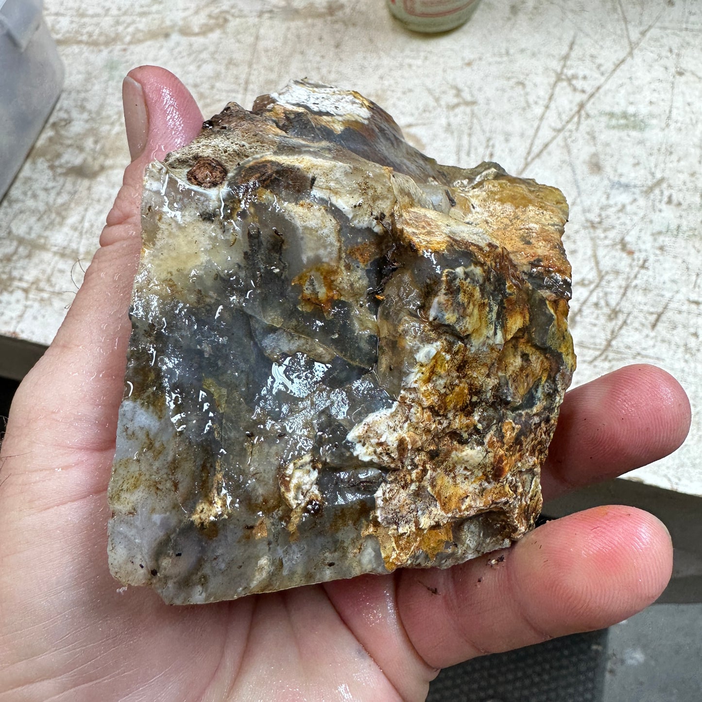 GRAVEYARD POINT PLUME AGATE Faced Rough - 1.78 Pounds