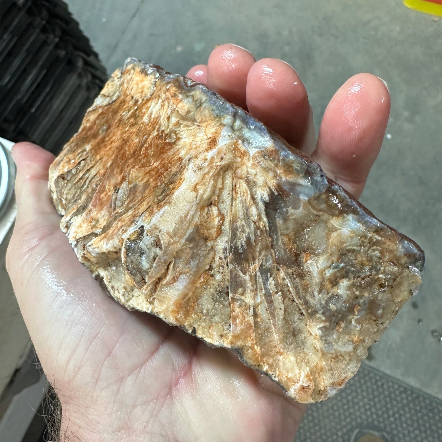 MOROCCAN STICK AGATE Faced Rough - 1.60 Pounds